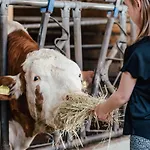 Leopold In Der Grub *