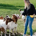 Leopold In Der Grub Apartment Ort im Innkreis