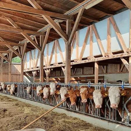 Leopold In Der Grub Daire Ort im Innkreis