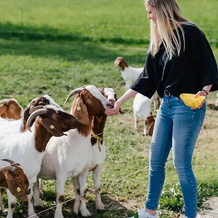 Leopold In Der Grub Apartman Ort im Innkreis