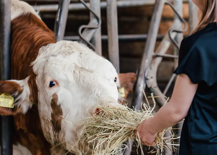 Leopold In Der Grub *