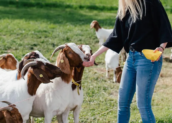 Leopold In Der Grub Lejlighed Ort im Innkreis