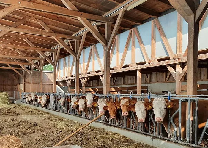 Leopold In Der Grub Daire Ort im Innkreis